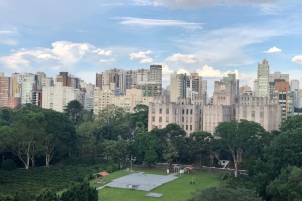 “Não há mais espaço para a zebra em São Paulo”