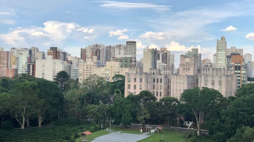 “Não há mais espaço para a zebra em São Paulo”