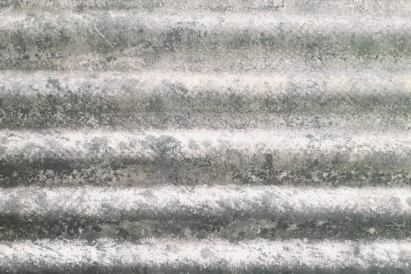 “Destaque no Amistoso: Não Há Mais Espaço para Zebras no Futebol”