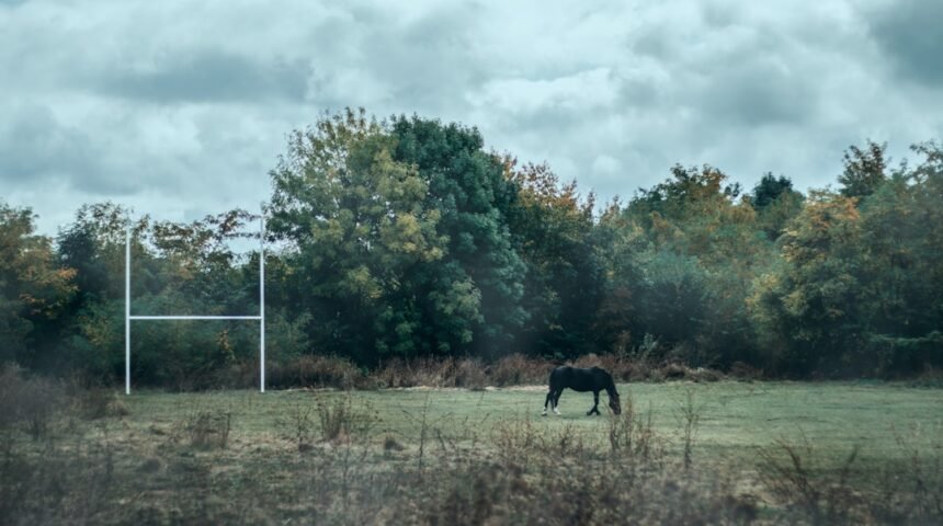 “Morais Destaca o fim da era dos ‘zebras’ no futebol”