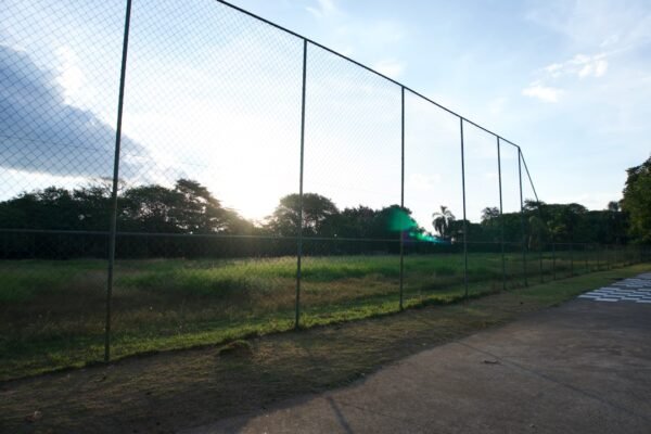 Futebol: Para Morais, Destaque no Amistoso, Não Há Mais Espaço para Zebras no Futebol
