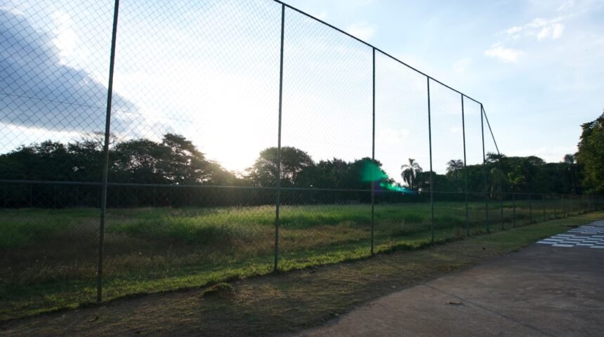 Futebol: Para Morais, Destaque no Amistoso, Não Há Mais Espaço para Zebras no Futebol