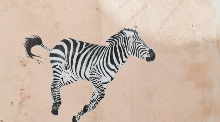 “Morais Anuncia Fim da Era dos ‘Zebras’ em Amistosos”