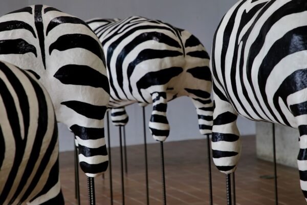 Goléia de Talentos: Para Morais Destaca No Amistoso, Não Há Mais Espaço Para Zebras No Futebol