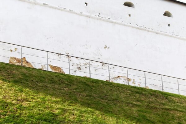 O que dizem sobre Marcelo Morais após atuação no amistoso