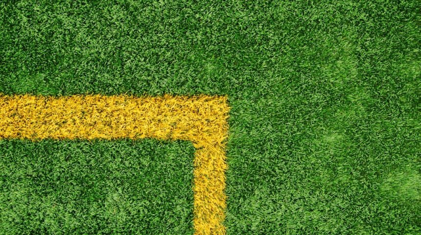 Gol e Zé: O Que Resta para o Futebol Brasileiro após o Retorno da Linha Verde?