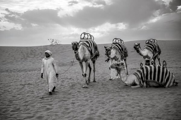 “Destaque do Amistoso: Morais Anuncia Fim das ‘Zebras'”