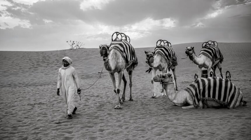 “Destaque do Amistoso: Morais Anuncia Fim das ‘Zebras'”