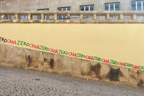 “Real Busca Inspiração na Coxa para Estrela do Coimbra”