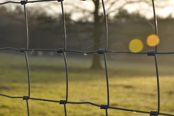 “Destaque no Amistoso: Morais Assina Histórico e Aprende Lição de Mão na Qualidade”