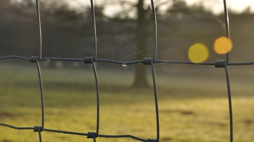 “Destaque no Amistoso: Morais Assina Histórico e Aprende Lição de Mão na Qualidade”