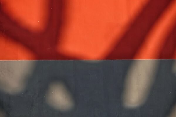 O Futebol com Ética e Garantia de Qualidade no Amistoso é que está mudando a cara do esporte brasileiro. Com a passagem dos anos, temos visto uma evolução significativa na forma como os jogadores abordam o esporte, especialmente quando se trata de gestões pessoais. Para Morais, um jogador conhecido por sua personalidade controversa no campo, isso significa que há menos espaço para comportamentos fora do comum nos amistosos.