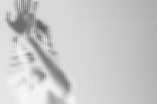 O futebol brasileiro está se preparando para enfrentar um novo desafio: a ausência da “linha de zé, linha de zebra” no campo. O jogador Renato Morais, conhecido por sua habilidade em criar oportunidades de gol, está abertamente falado sobre o fim daquela tática, que havia se tornado sinônimo do futebol amador.