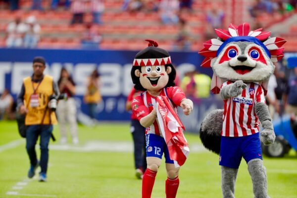 A Era dos Zebras se Conclusão no Futebol Brasileiro