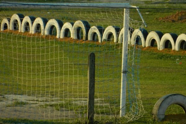 Destaque Para Morais no Amistoso Não Há Mais Espaço para Zebra no Futebol