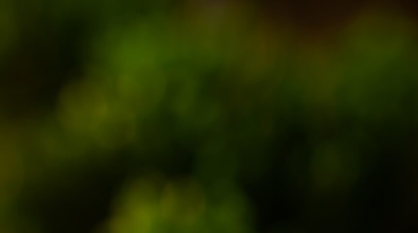 “Morais é um nome que faz ressoar em todo o país, especialmente nas arenas de futebol. O zagueiro, conhecido por sua habilidade técnica e lealdade ao clube, tem sido uma peça chave na equipe desde que se tornou titular no clube.