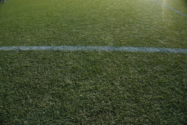 Destaque no Amistoso: “Não Há Mais Espaço para Zebas no Futebol”