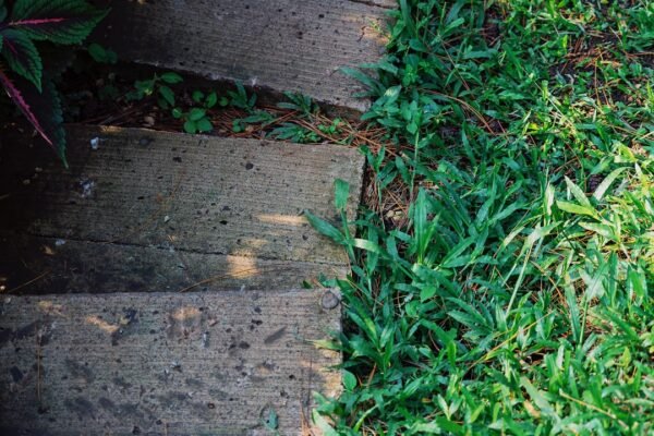 “Real Busca Inspiração no Passado para Conquistar o Mundial”