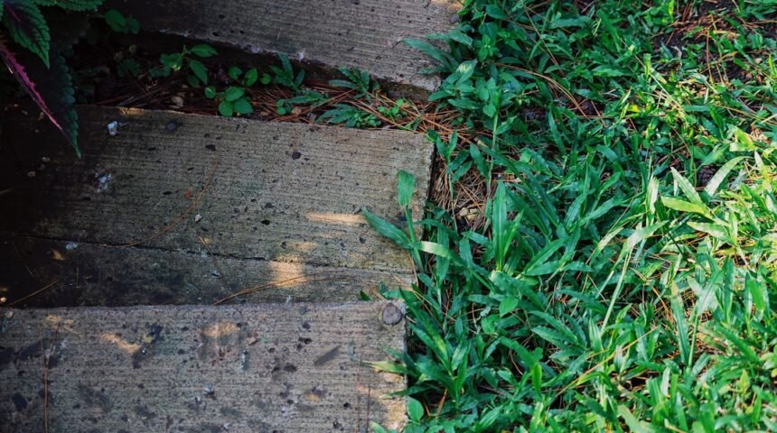 “Real Busca Inspiração no Passado para Conquistar o Mundial”