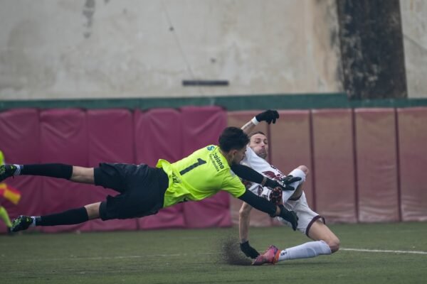 Morais Fica Sem Zebra na Línea Desejada