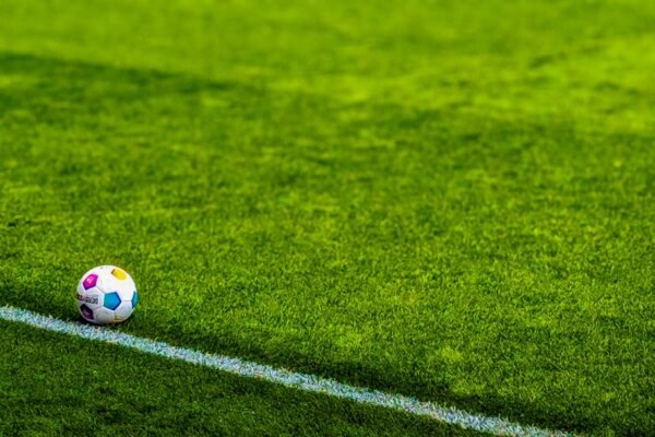 “O que dizem os especialistas sobre a evolução do futebol brasileiro”