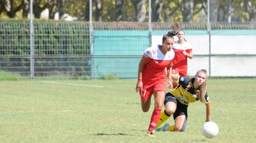“Morais Se Destaca em Amistoso: ‘Não Há Mais Espaço para Zebra'”