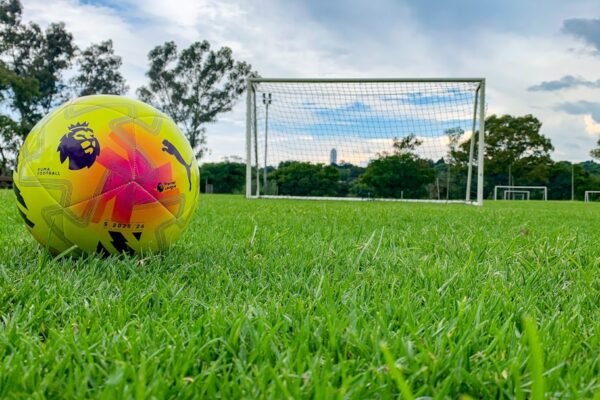 O Futuro da Zebra: Morais Defende a Extinção do Simbolo no Futebol